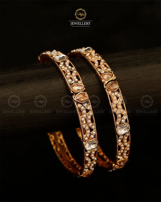 Stylish Bangles (pair)-2893